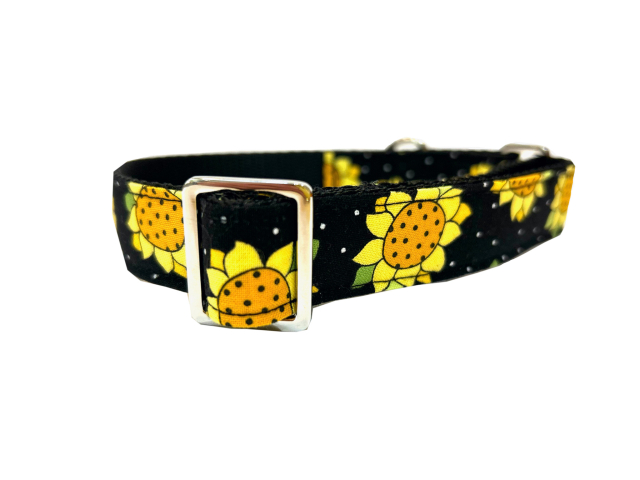Greyhound Tag/House Collar 1"